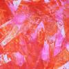 Pink Pescado
2011
30 X 24
Acrylic on panel
Private collection of Shannon Schalestock
