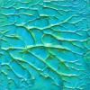 Aqua Imprint
2011
12 X12
Acrylic on Panel
Private Collection of Helen Landry