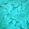 Aqua Foliage
2011
12 X 12
Acrylic on panel
Private collection of Tim Winklevoss